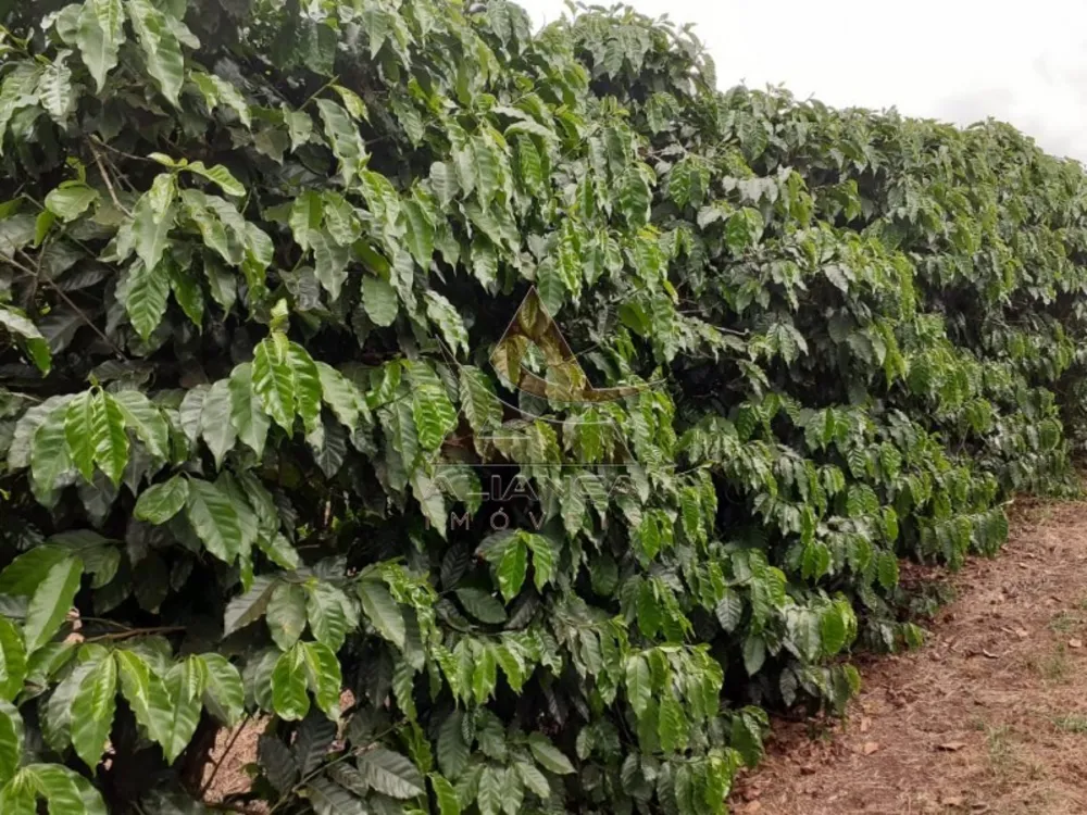 Fazenda, 408 hectares - Foto 7