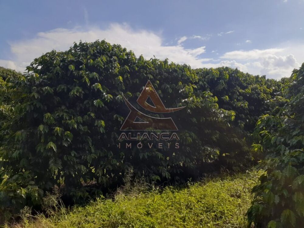 Fazenda à venda com 3 quartos, 4080000m² - Foto 3