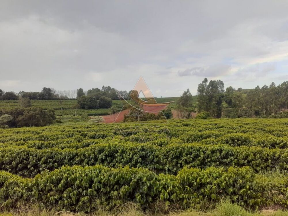 Fazenda à venda com 3 quartos, 4080000m² - Foto 4