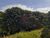 Fazenda, 408 hectares - Foto 3