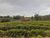 Fazenda, 408 hectares - Foto 4