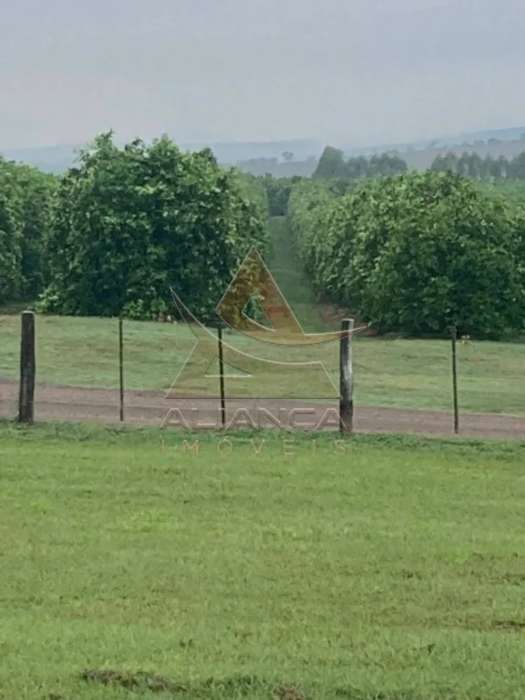 Fazenda, 864 hectares - Foto 8