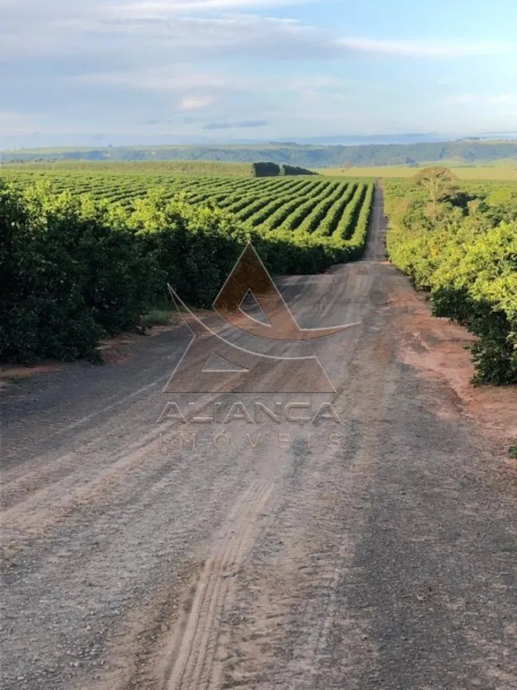 Fazenda, 864 hectares - Foto 5