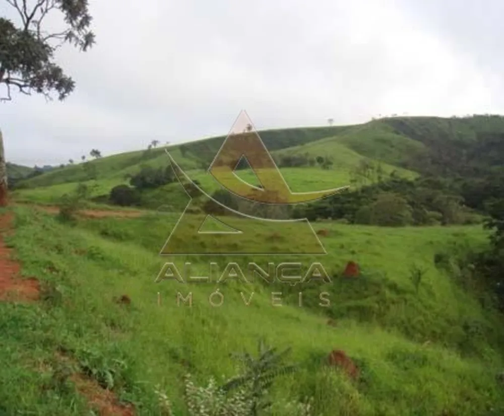 Fazenda, 1500 hectares - Foto 6