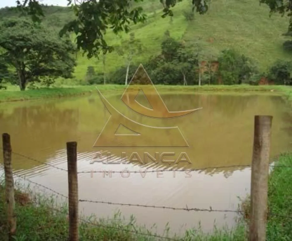 Fazenda, 1500 hectares - Foto 4