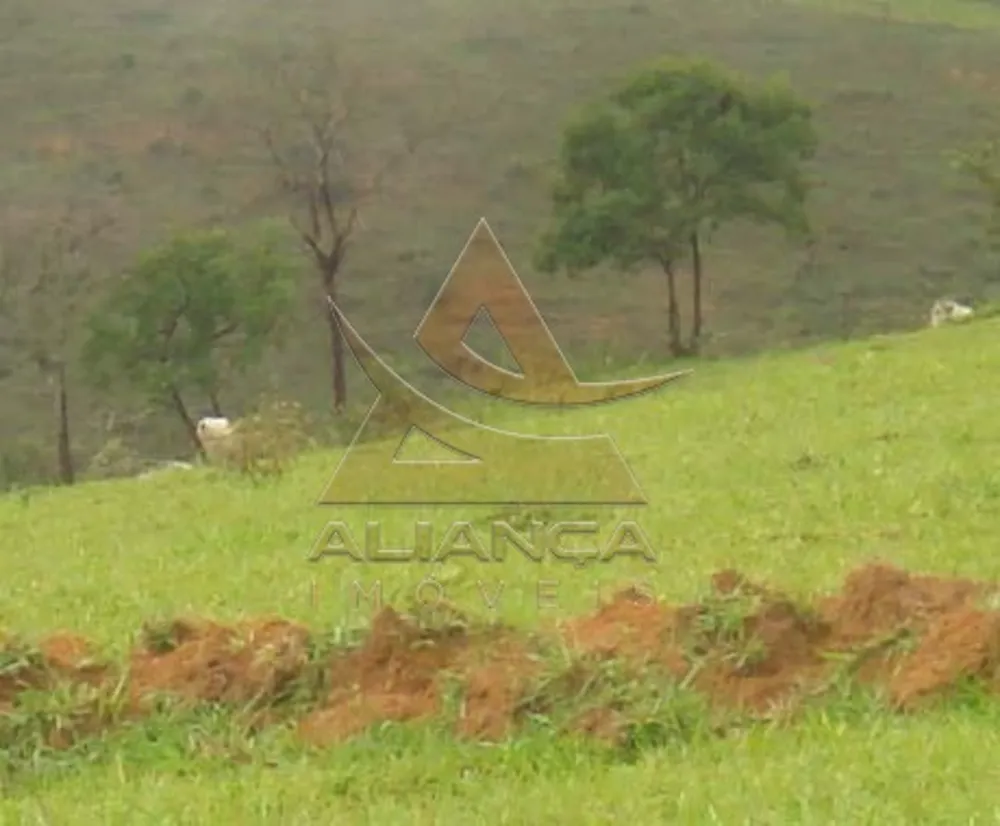 Fazenda, 1500 hectares - Foto 1