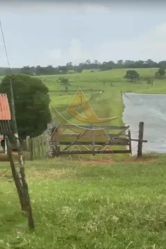 Fazenda, 1235 hectares - Foto 3