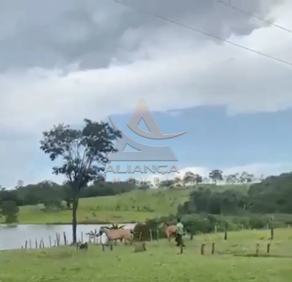 Fazenda, 1235 hectares - Foto 1