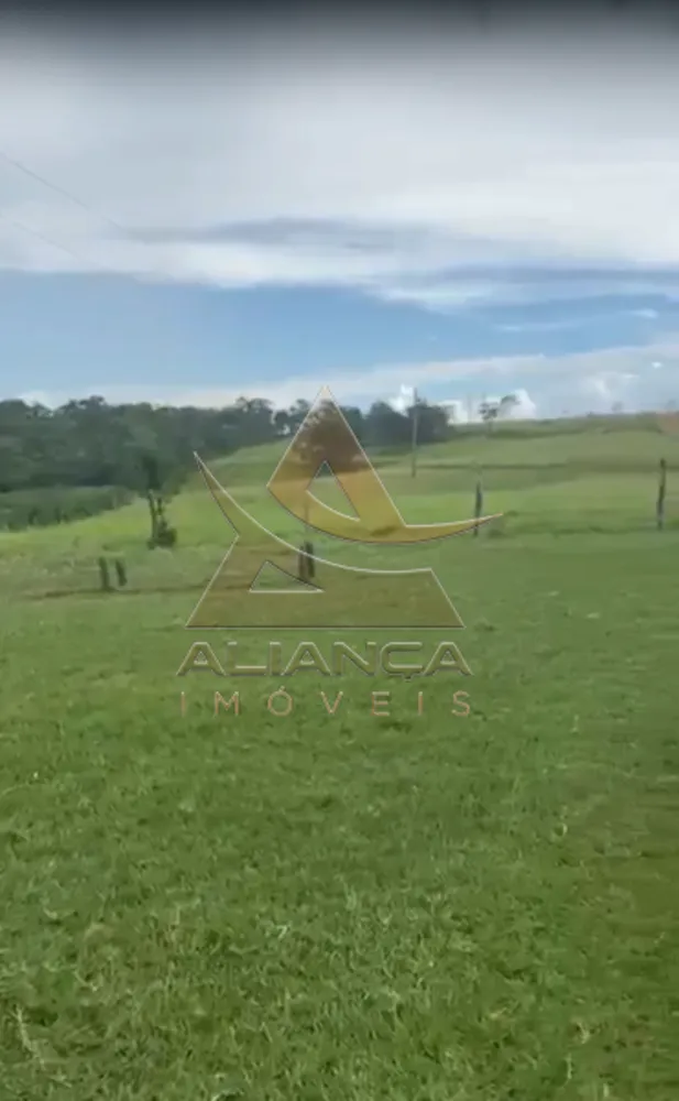 Fazenda, 1235 hectares - Foto 8