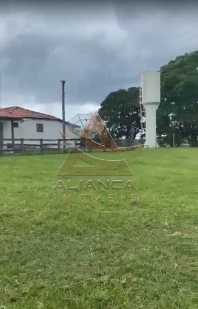 Fazenda, 1235 hectares - Foto 7