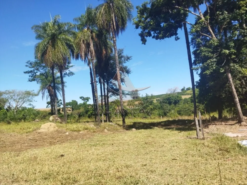 Sítio, 2 quartos, 15 hectares - Foto 4
