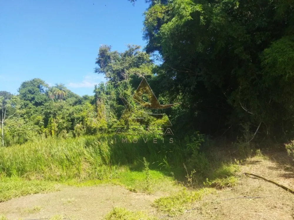Sítio, 2 quartos, 15 hectares - Foto 6