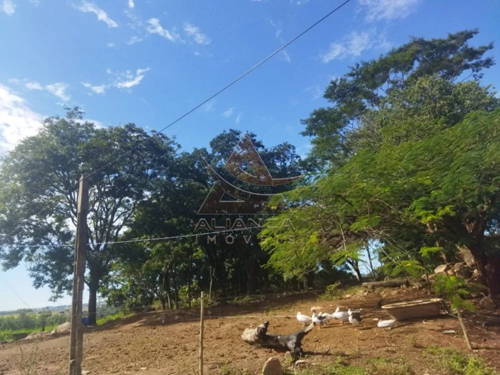 Sítio, 2 quartos, 15 hectares - Foto 7