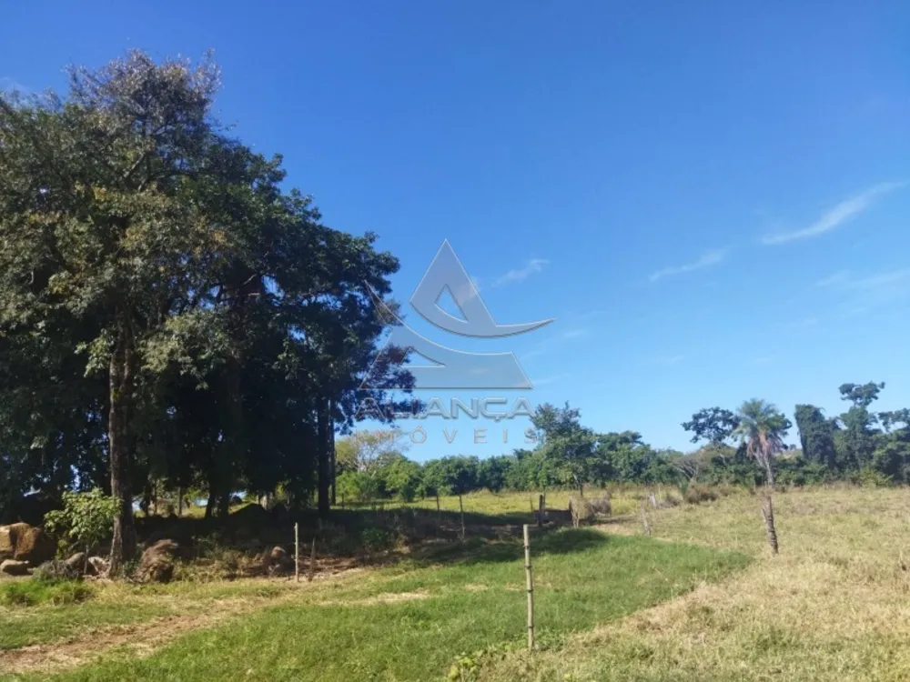 Sítio, 2 quartos, 15 hectares - Foto 3