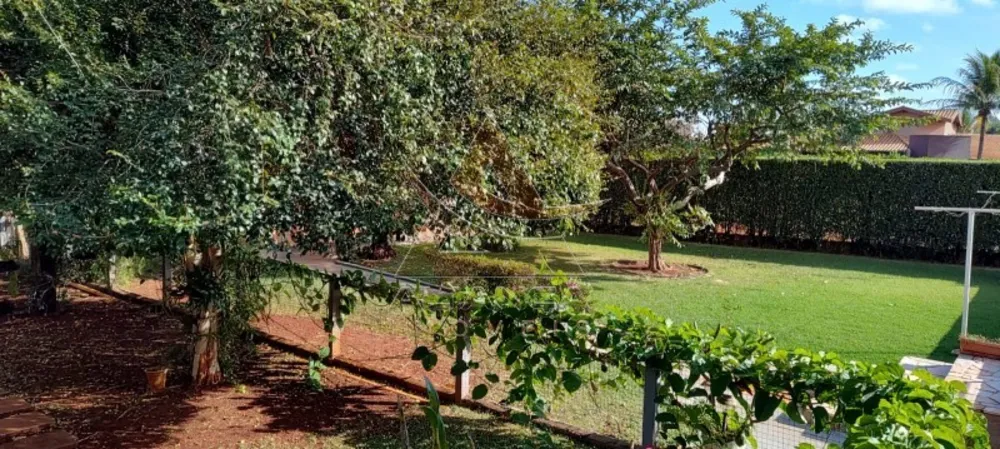Chácara, 4 quartos, 1500 m² - Foto 7