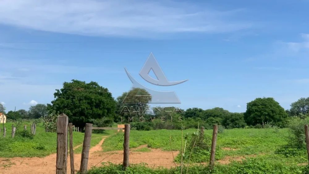 Fazenda, 2216 hectares - Foto 3
