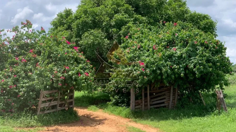 Fazenda, 2216 hectares - Foto 6
