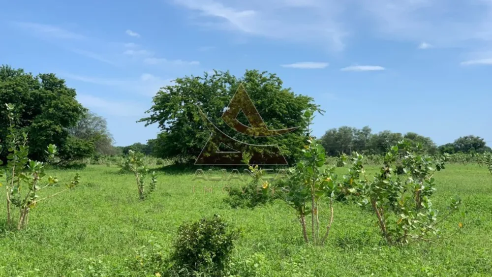 Fazenda, 2216 hectares - Foto 4