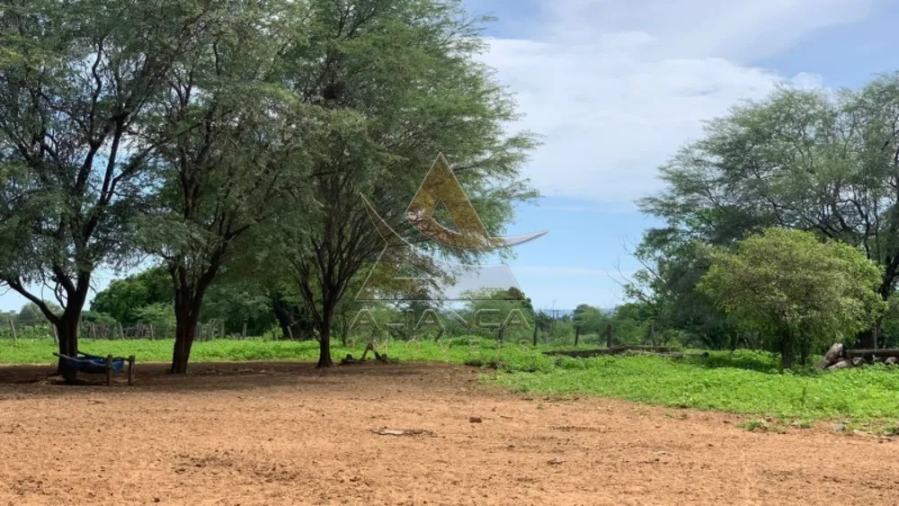 Fazenda, 2216 hectares - Foto 1