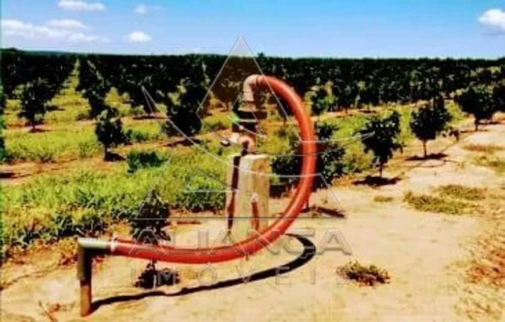Fazenda, 227 hectares - Foto 6