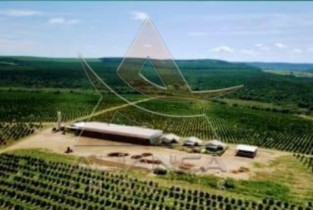Fazenda, 227 hectares - Foto 3