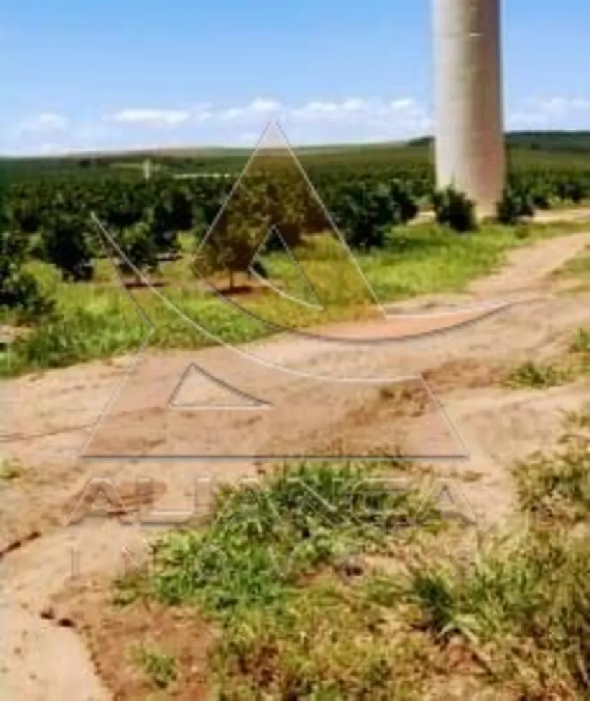 Fazenda, 227 hectares - Foto 7