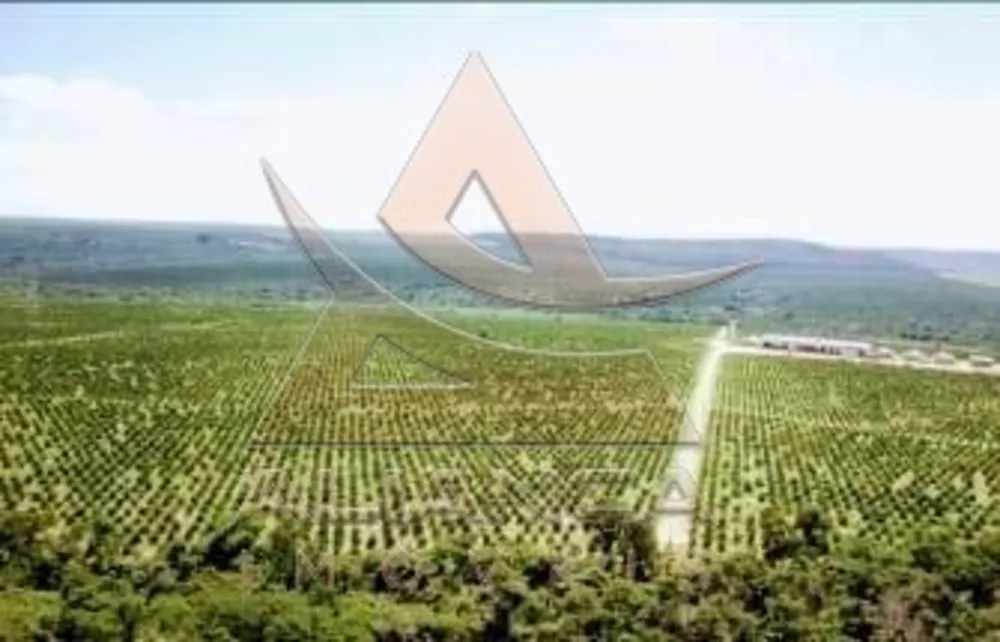 Fazenda, 227 hectares - Foto 4
