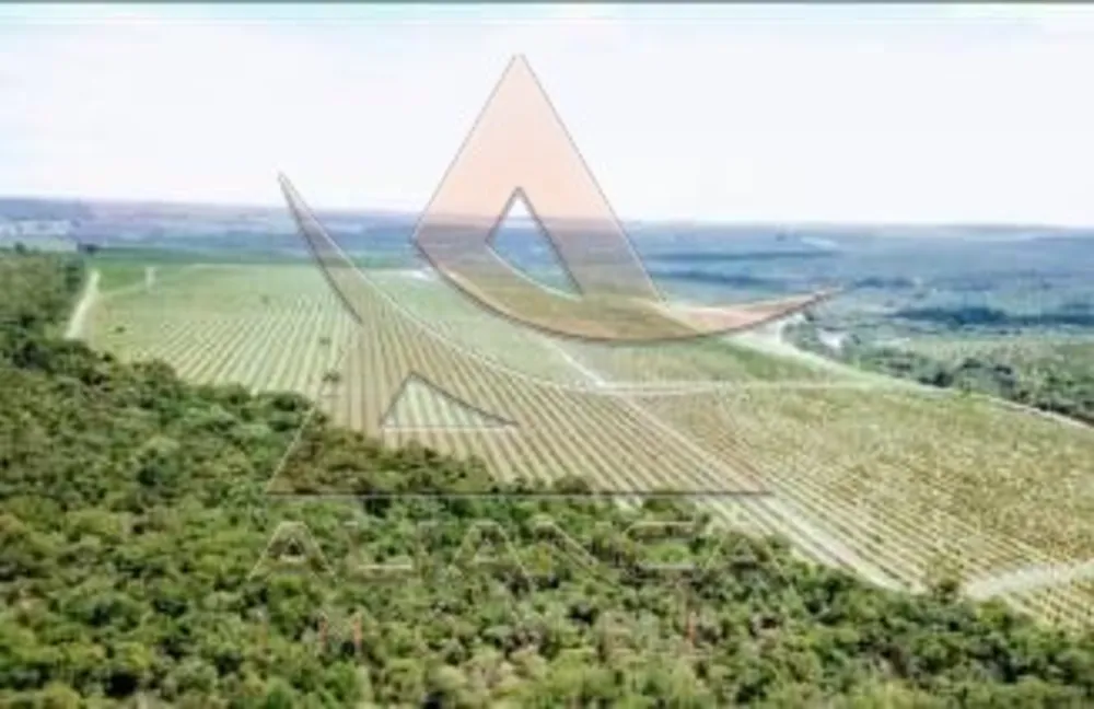 Fazenda, 227 hectares - Foto 1