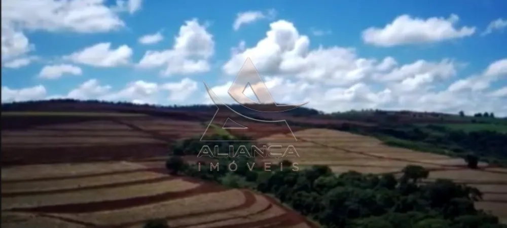 Fazenda, 261 hectares - Foto 7