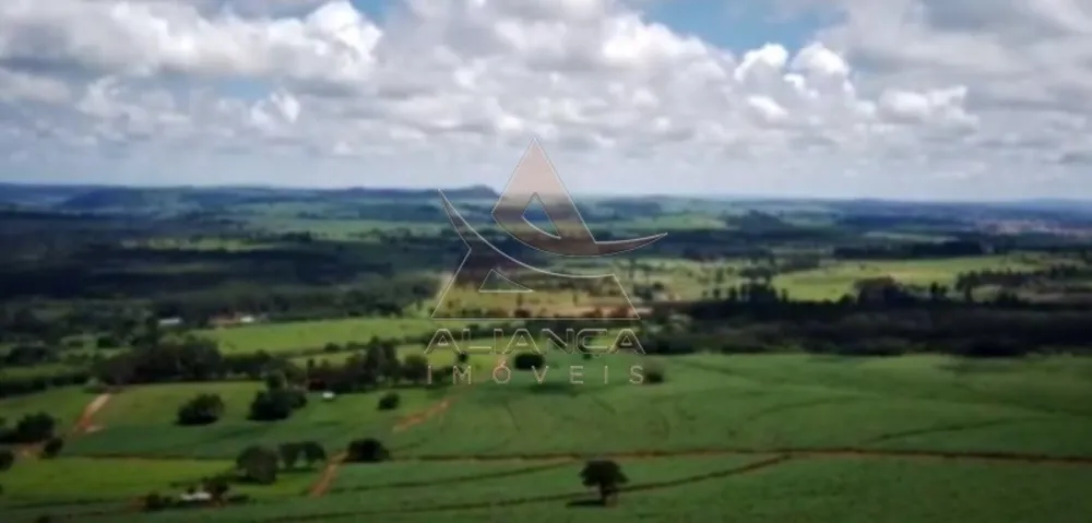 Fazenda, 261 hectares - Foto 8