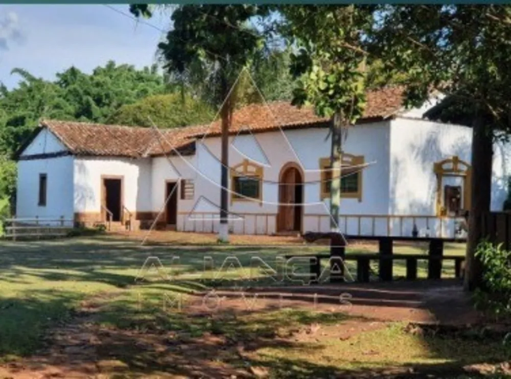 Fazenda, 261 hectares - Foto 6