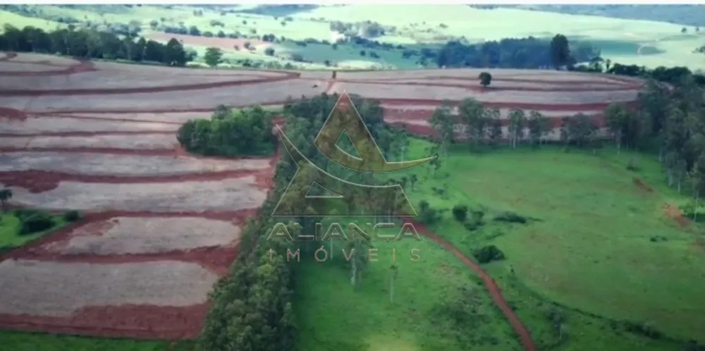 Fazenda, 261 hectares - Foto 4