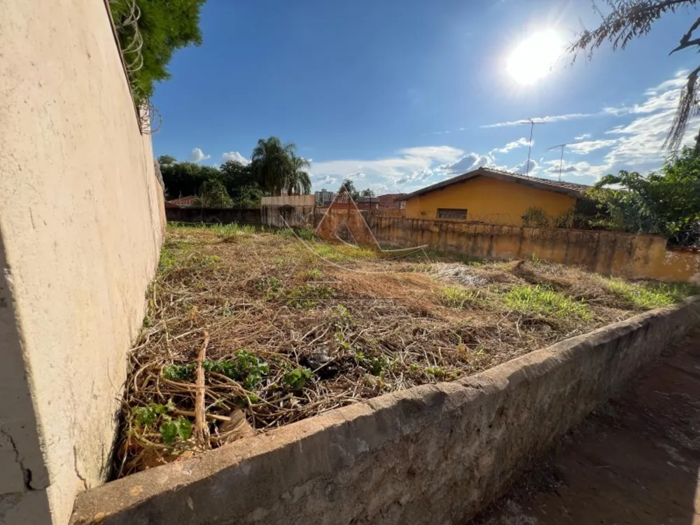Terreno, 504 m² - Foto 4