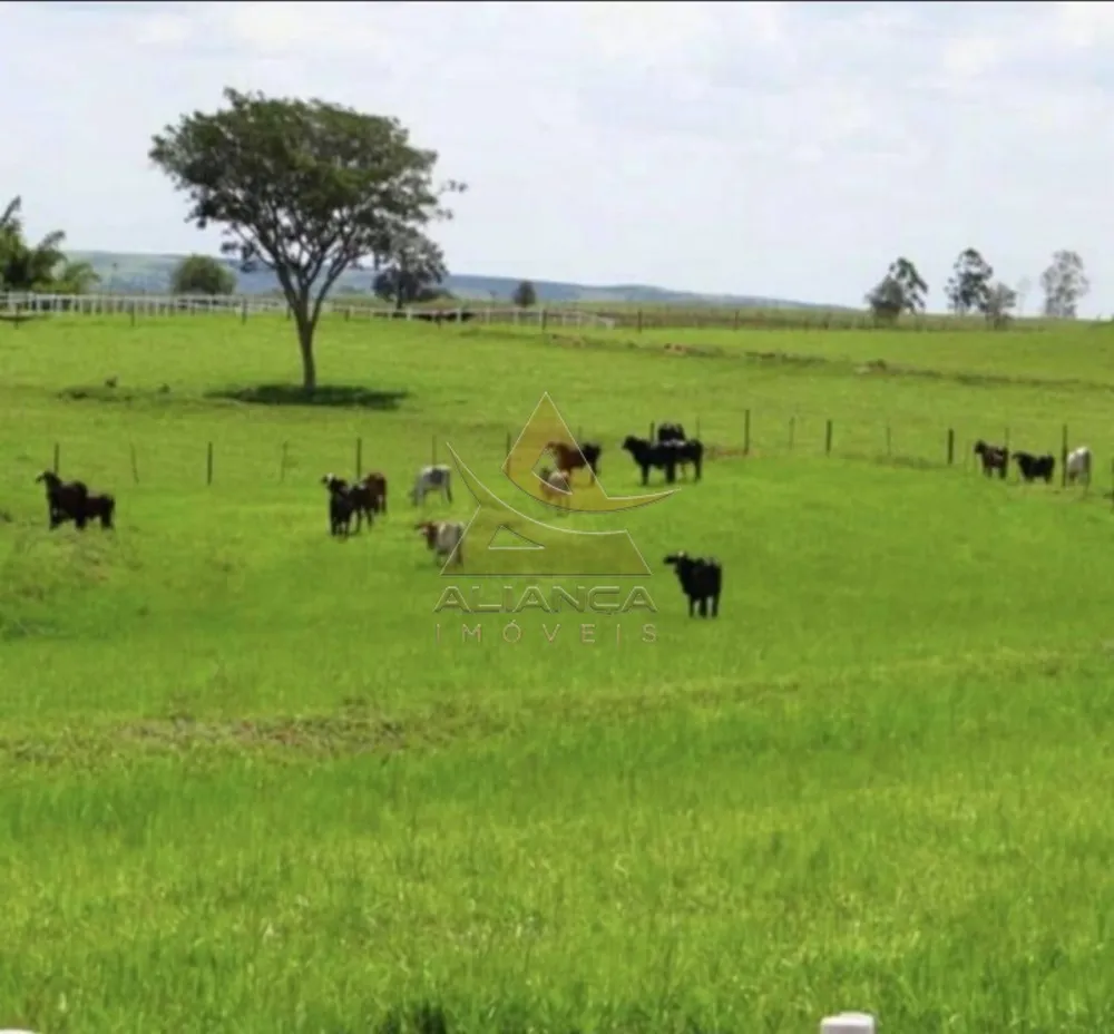 Fazenda, 394 hectares - Foto 6