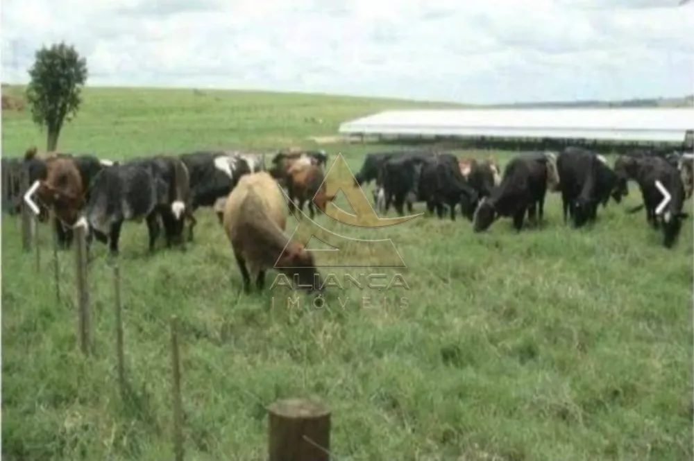Fazenda, 394 hectares - Foto 7