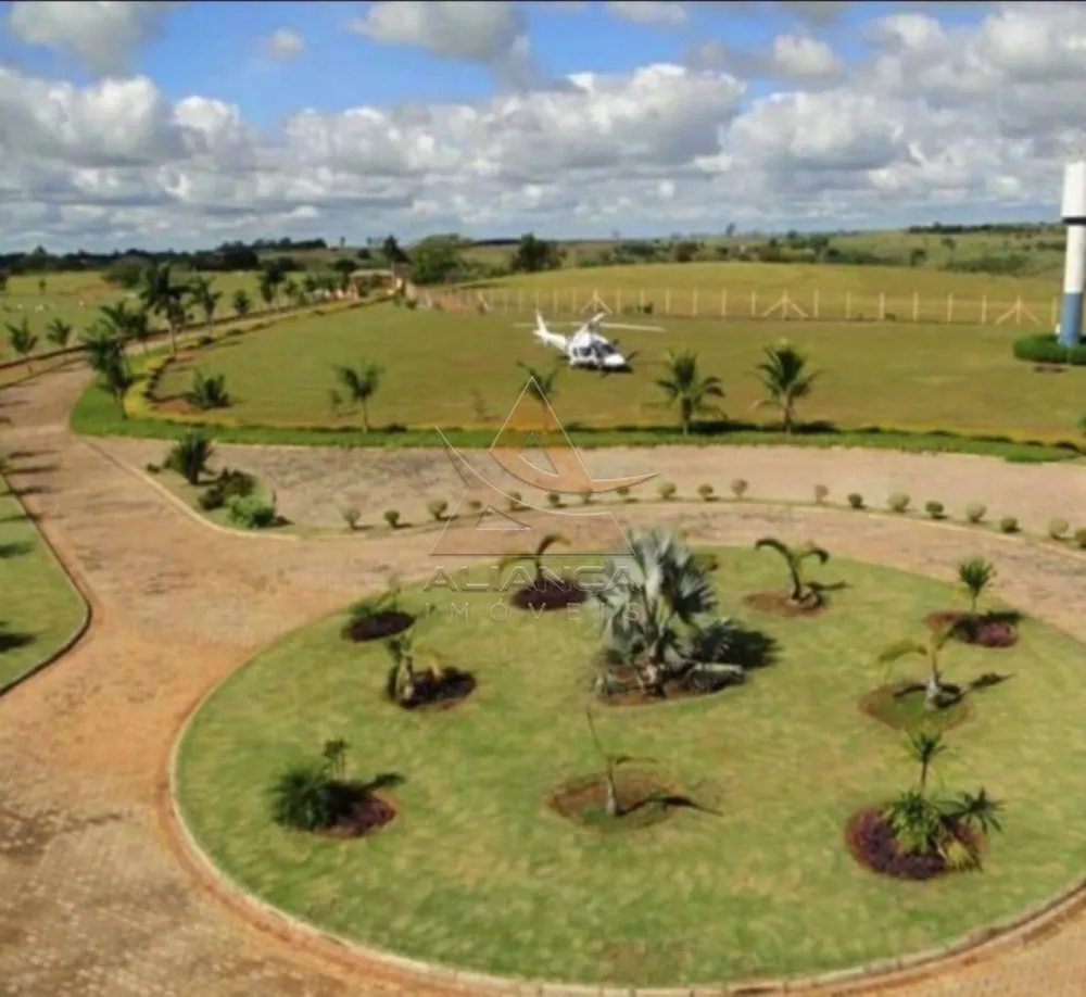 Fazenda, 394 hectares - Foto 2