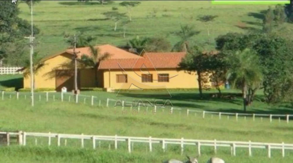 Fazenda, 394 hectares - Foto 8