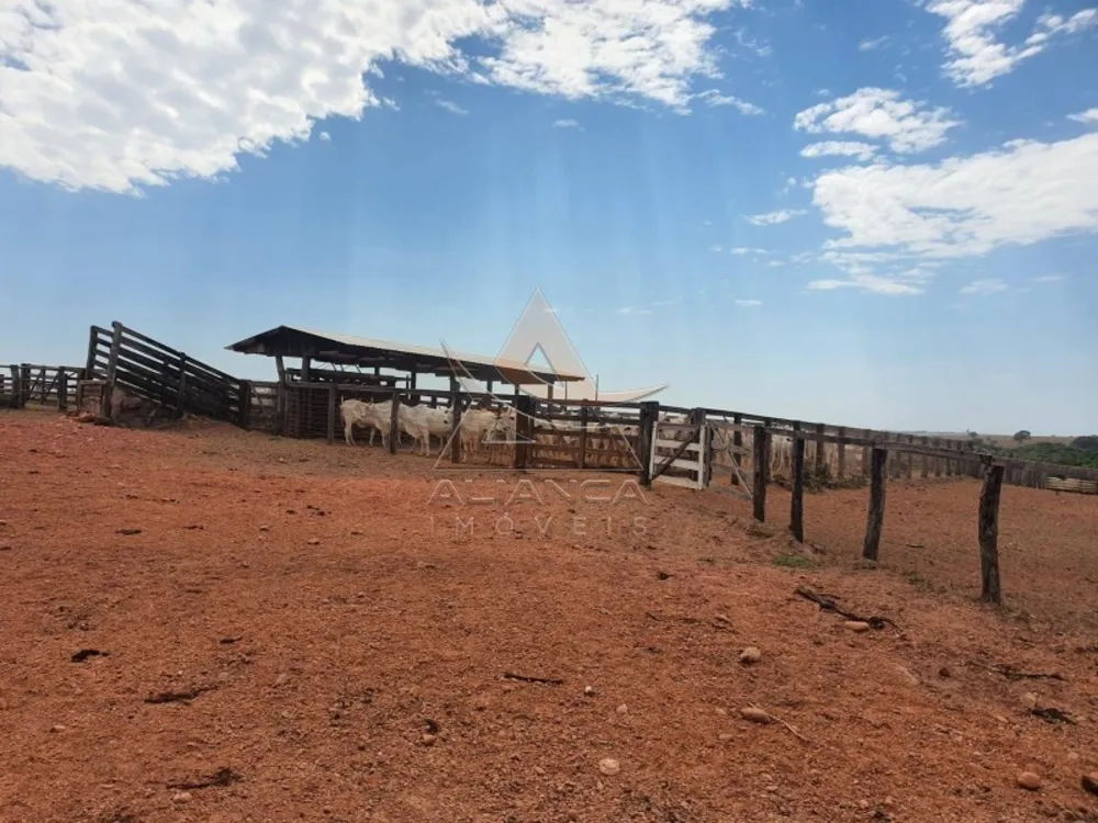 Fazenda, 1471 hectares - Foto 4