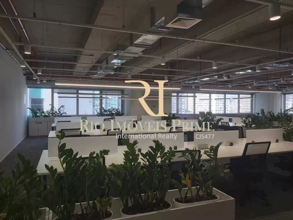 Sala-Conjunto, 381 m² - Foto 3