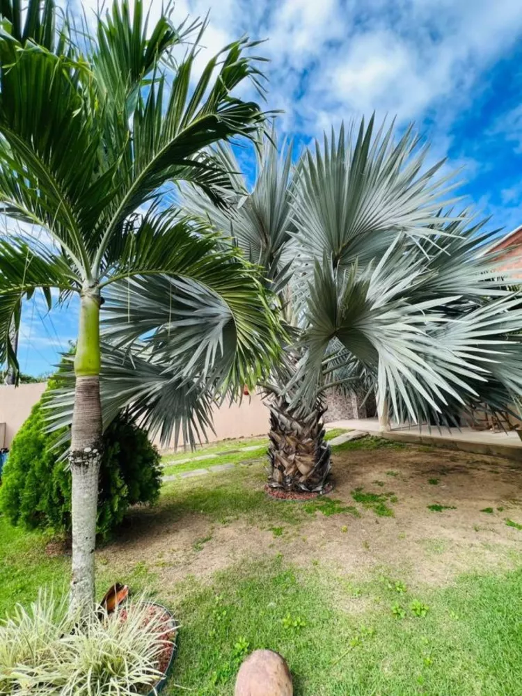 Casa de Condomínio à venda com 4 quartos, 1000m² - Foto 4