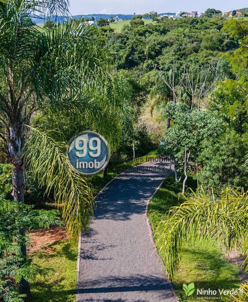 Casa, 4 quartos, 240 m² - Foto 6