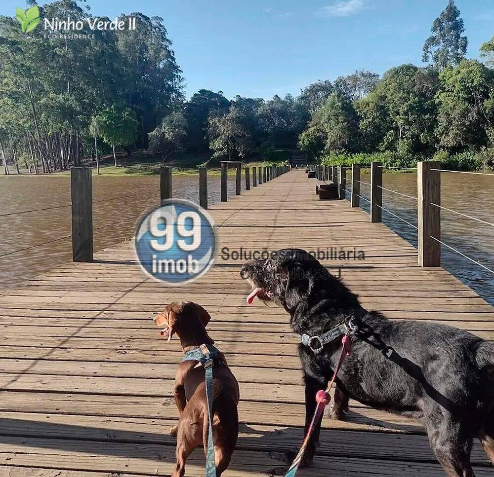 Terreno, 450 m² - Foto 15