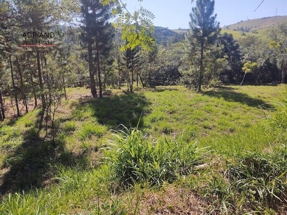 Terreno, 2660 m² - Foto 8