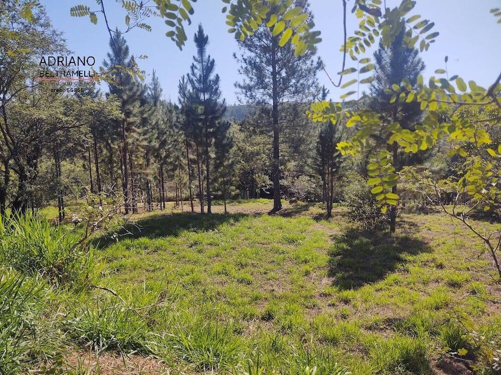 Terreno, 2660 m² - Foto 5
