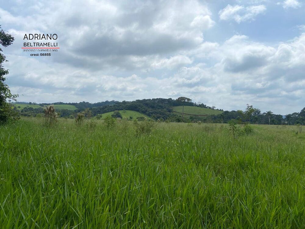 Fazenda à venda com 16 quartos, 2500m² - Foto 3