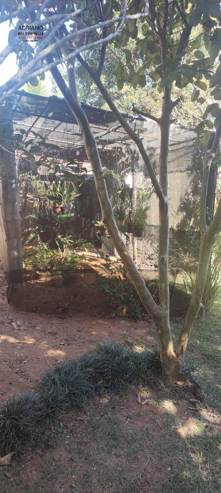 Casa, 3 quartos, 730 m² - Foto 5