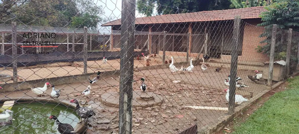 Sítio, 6 quartos, 4 hectares - Foto 16