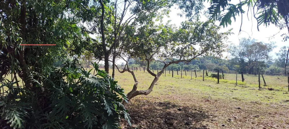 Sítio, 6 quartos, 4 hectares - Foto 15