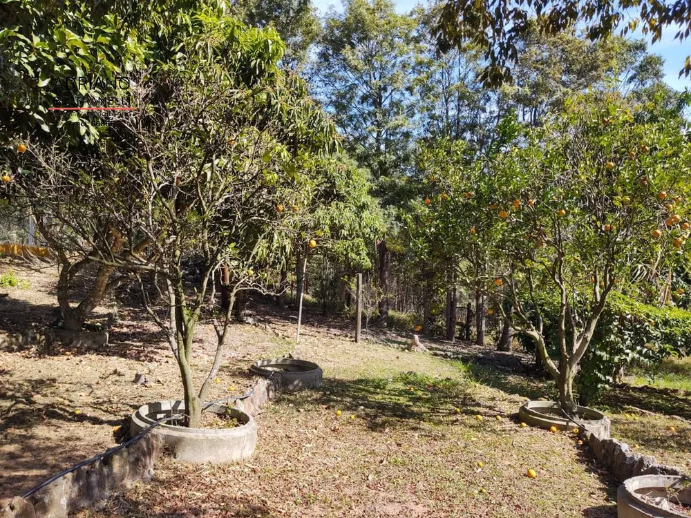 Sítio, 6 quartos, 9 hectares - Foto 25