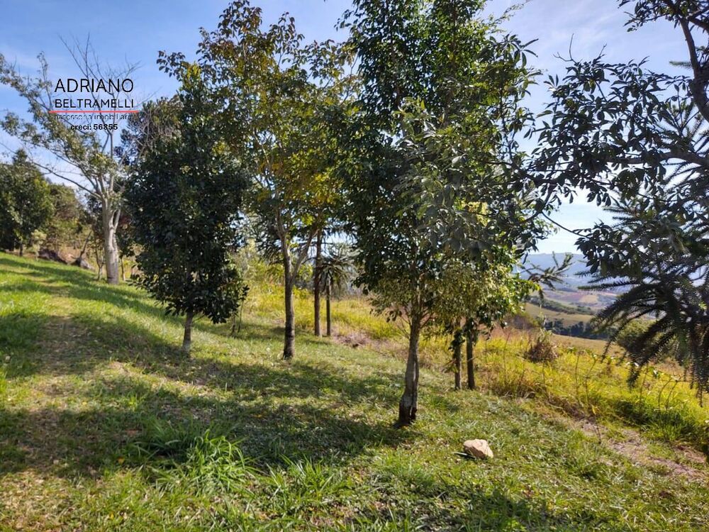 Sítio à venda com 6 quartos, 88000m² - Foto 3